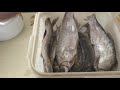 Вяленая рыба, Как правильно засолить, сколько вымачивать солёную рыбу, МоиРецепты#Плотва