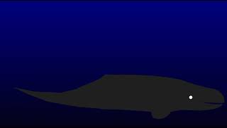 w.i.p) brygmophyseter vs orca