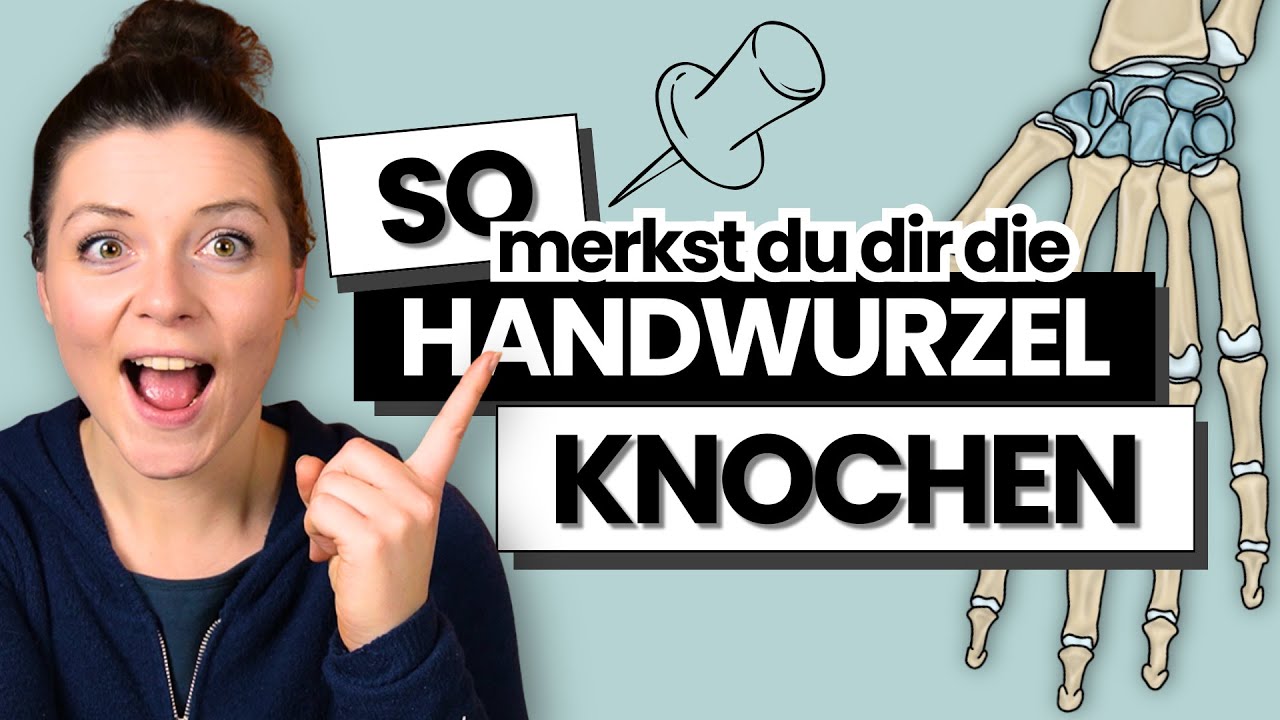 Handwurzelknochen endlich merken – mit Eselsbrücken & Übungen