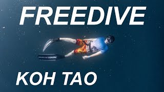 เรียนดำน้ำแบบฟรีไดฟ์ที่เกาะเต่า Freediving LV1 Koh Tao [LEAFANT AQUA EP.1]