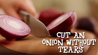 Now, you don't have to shed tears while cutting an onion! just light a
candle and there go! no more for sure. hellotv app on android:
http://goo.gl...