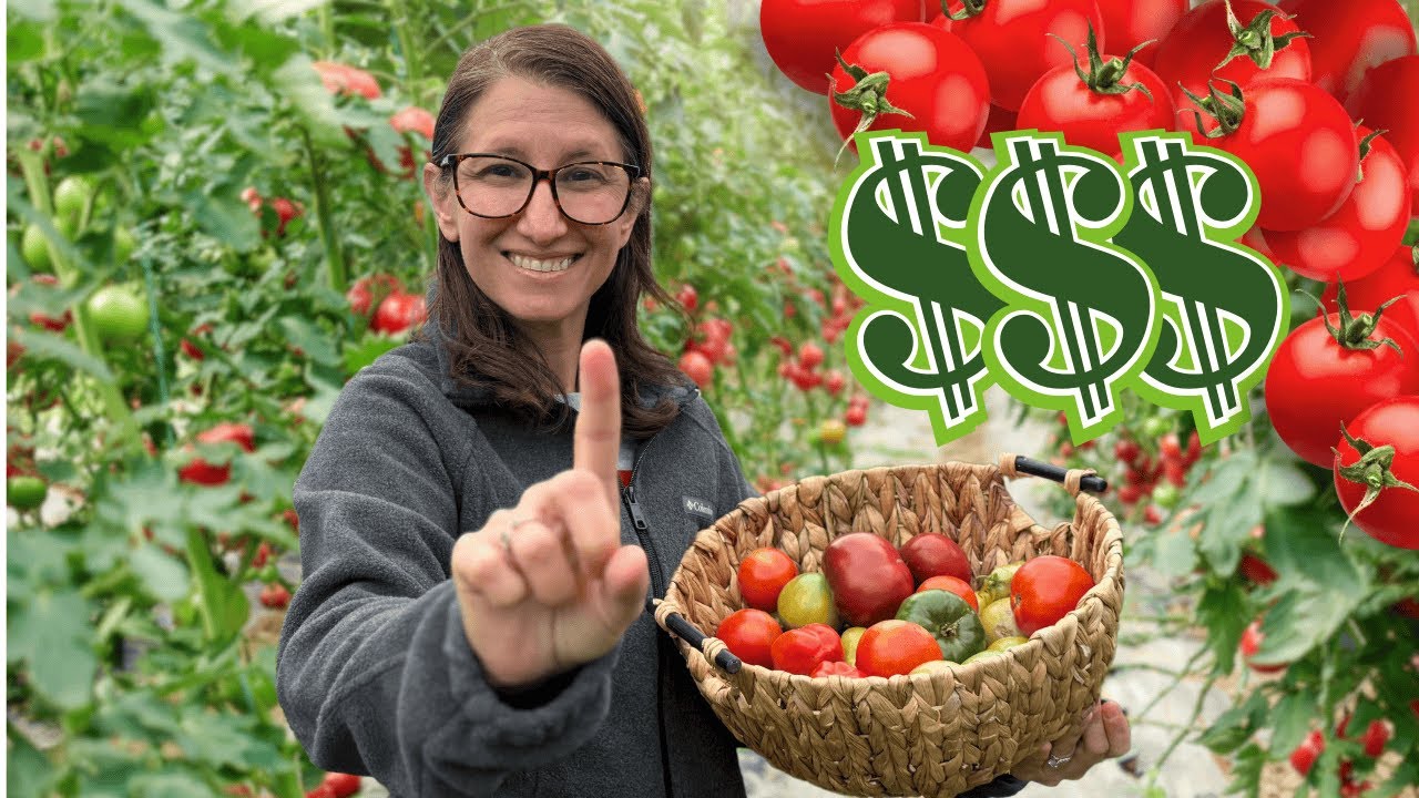 Top Money Saving Veggie to Grow in your Backyard Garden