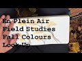 En Plein Air, Field Studies, Fall Colours, Look Up