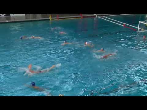 White Sharks Hannover: SV Krefeld 1972 / German Water Polo Championship U16 Men / April 26, 2025