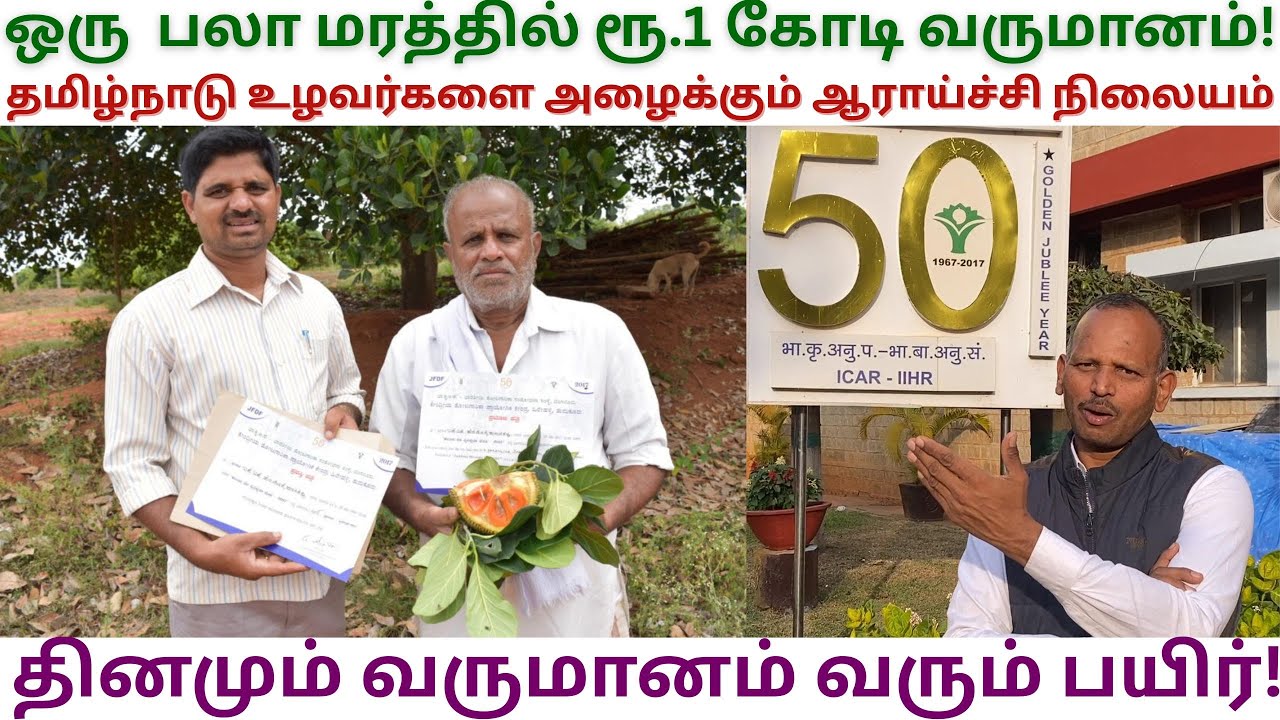 விவசாயிகளுக்கு பணம் கொடுக்கிறோம் | Dr Senthilkumar | IIHR | Siddu Jackfruit | Arka mango