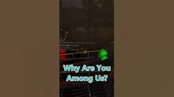 Do Not Add Over 100 Mods In Lethal Company!!