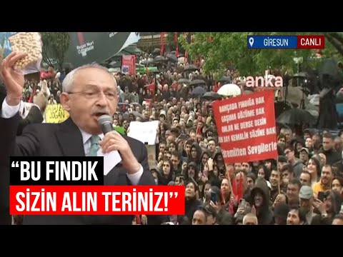 Kılıçdaroğlu'dan Giresunlulara fındık sözü! 'Bay Kemal'in sözü 4 doların altına asla düşmeyecek...'