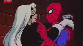 cat spiderman animated series