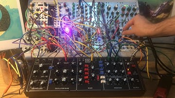 Behringer Model D and Eurorack (Rings, plonk, clouds, dld, o&c). Modular synth, ambient generative