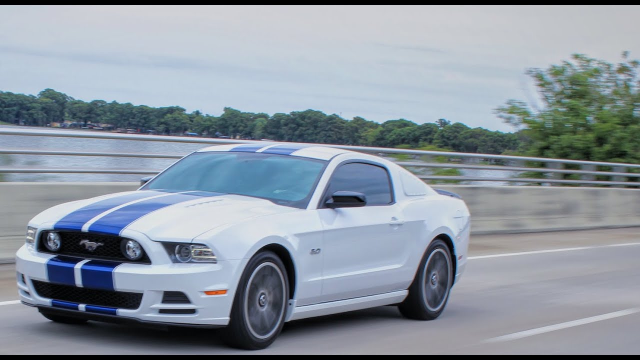 orlando florida FLCC Mini Feature | White Stallion