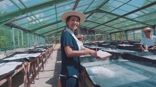VINA SITORUS - Sustainable Salt Farming Series Film | Miss Universe INDONESIA North Sumatera 2023