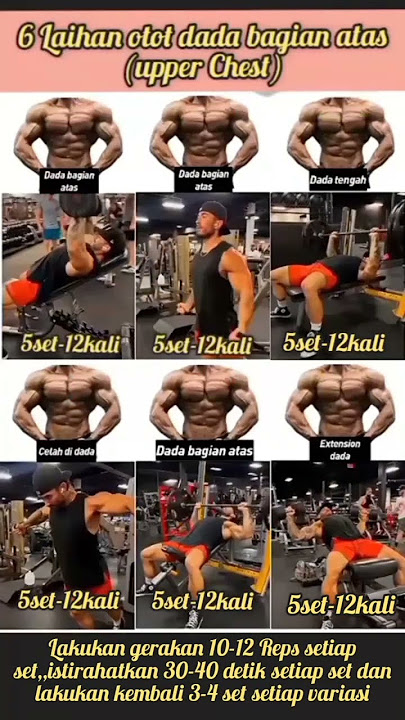 6 Latihan untuk membentuk otot dada bagian atas di gym|Bagi pemula  #fitness #gym #shorts