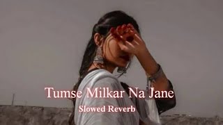 Tumse Milkar Na Jane (Slowed  Reverb) | Pyar Jhukta Nahin | Mithun Chakraborty, Padmini @tseries