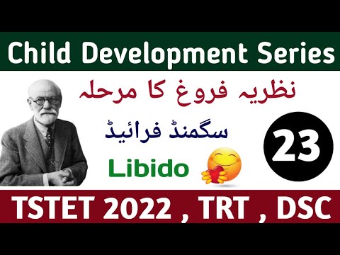 Libido | sigmund freud | نظریہ فروغ کے مراحل | TSTET 2022 , TRT, DSC