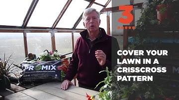 How To Fertilize Your Lawn In The Fall