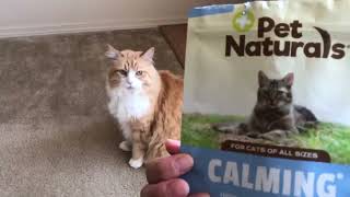 Pet Naturals Calming Chews for Cats, 30 Chews   Behavioral Support and Anxiety Relief Review