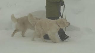 Allerta meteo in Germania e Austria, pericolo valanghe screenshot 2