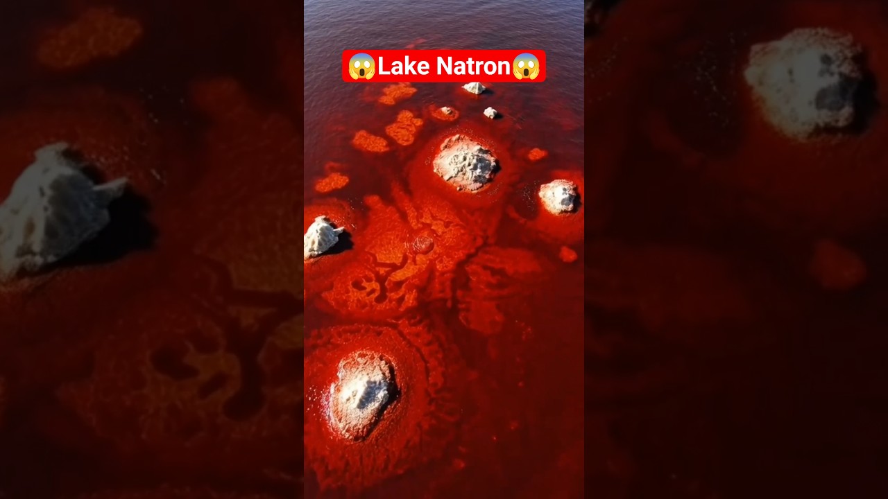 Lake Natron: The Terrifying African Lake That “Petrifies” Animals 