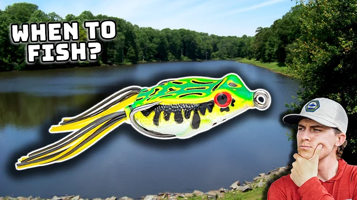 WHEN To Fish A Topwater Frog For Bass! (AND When NOT TO)