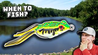 WHEN To Fish A Topwater Frog For Bass! (AND When NOT TO)