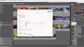 Batch Renaming Files in Adobe Bridge
