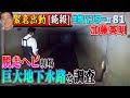 【続報】脱走した３.５ｍニシキヘビ・巨大暗きょ源流を捜索≫生物ハンター加藤英明、川を探します。