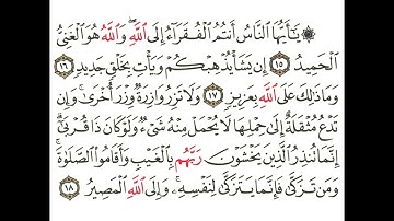 سورة فاطر 8 القسم الثامن تكرار كيفي من .. يا أيها الناس أنتم الفقراء والله هو الغني .. إلى .. المصير