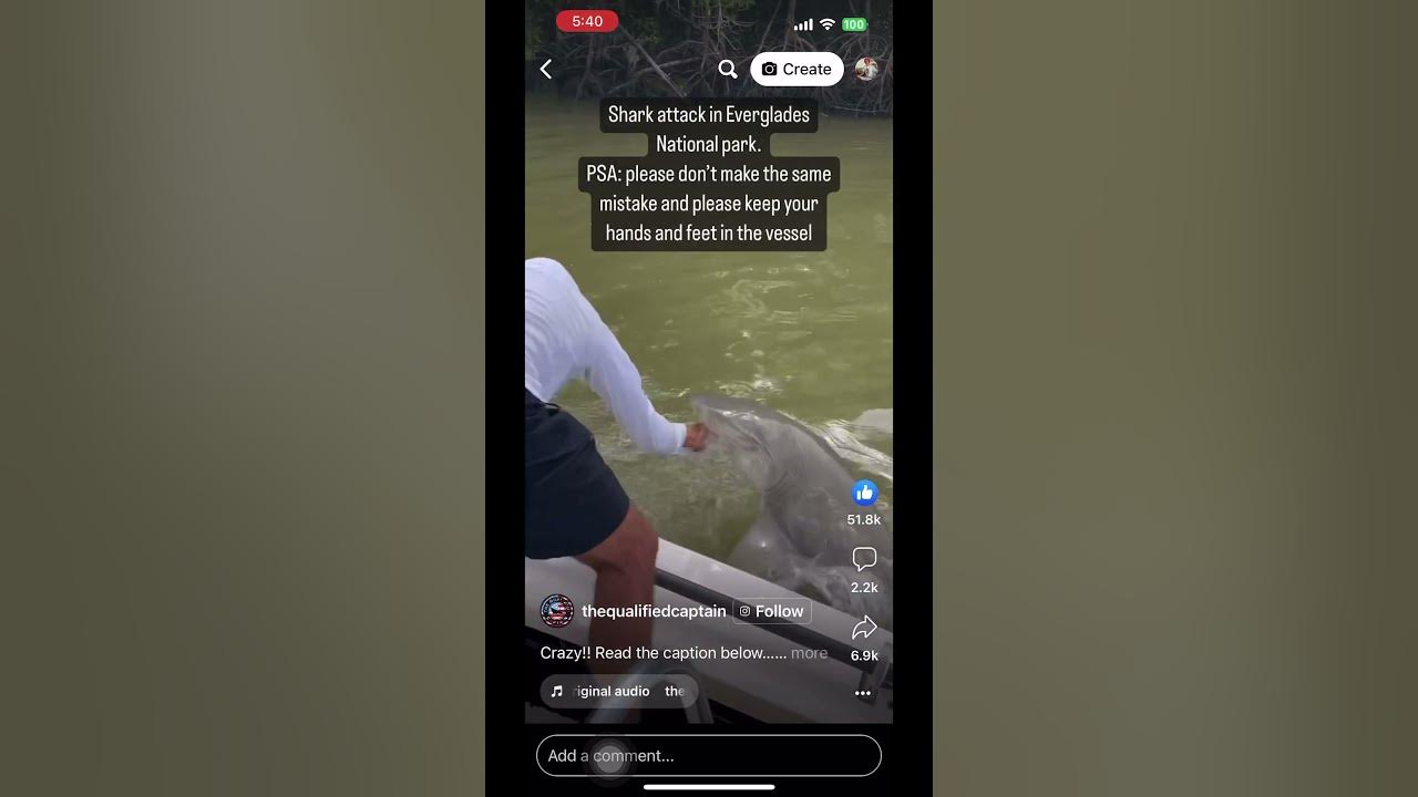 Unedited Shark attack Everglades USA. "Two Seconds, won't do anything