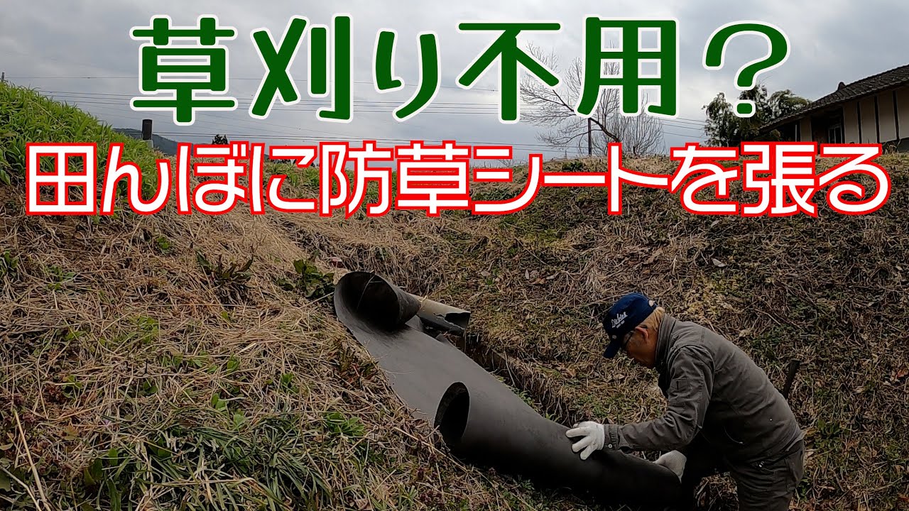 草刈り不用？ 田んぼに防草シートを張る - YouTube