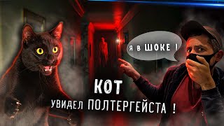 КВАРТИРА ПОКОЙНОЙ ТЕТУШКИ | Я ТУДА НЕ ВЕРНУСЬ !!