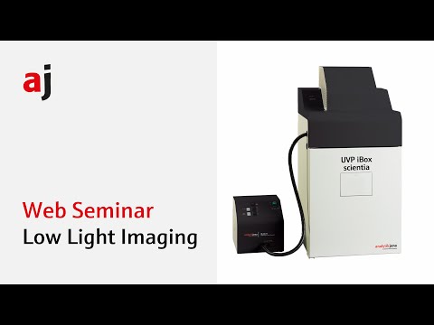 Web Seminar: Low Light Imaging with the UVP iBox Scientia 900