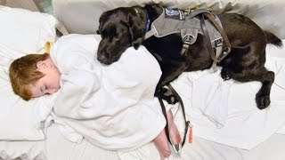 Service Dog Cuddles 9YearOld Boy with Autism While Lying in Hospital