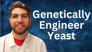 Yarrowia lipolytica Transformation Protocol