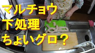 #074【キッチン俯瞰16倍速】夕食作り前半「マルチョウ下処理」