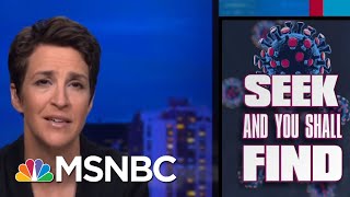 Coronavirus Lesson: More Testing Turns Up More Cases | Rachel Maddow | MSNBC