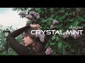 Crystal mint  designer cinematic music