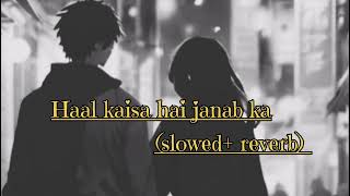 Haal kaisa hai janab ka_(slowed + reverb)/(Cover By Aayush Raj Khare , Rishika Srivastava) /Try lofi