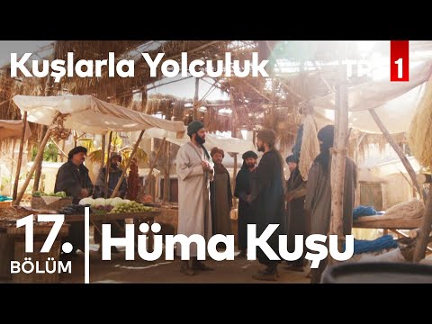 Hüma Kuşu | Kuşlarla Yolculuk 17. Bölüm