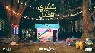 Video thumbnail of "Sharmoofers - Betseeri El Gadal | Official Music Video - 2023 | شارموفرز - بتثيري الجدل"