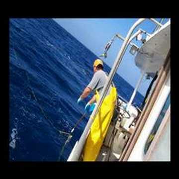 LONG LINING IN THE GULF - YouTube