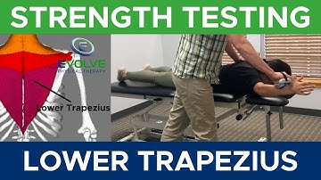 Lower Trapezius | Strength Testing with a Hand Held Dynamometer