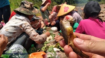 Đắp Cá Suối Tập 1 Bữa Trưa Toàn Cá Nướng