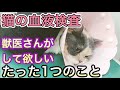 【猫の血液検査】獣医師が飼い主さんにしてほしいたった１つの事。