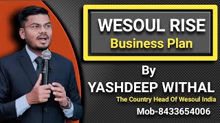 Wesoulrise Complete Business Plan By Yashdeep Withal 8433654006 #wesoulrise #wesoulrisepvtltd screenshot 1