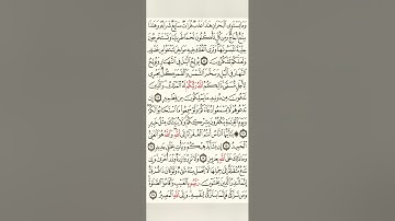 سورة فاطر/بصوت الشيخ محمد ايوب الركباوي