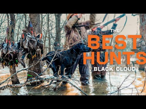 Best DUCK HUNTS from 2023 | Insane Duck Footage | Best of Black Cloud