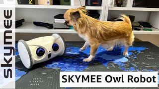 SKYMEE Owl Robot - The Best Smart Toys for Dogs and Cats