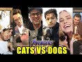 DOGS VS CATS: Avengers Endgame Cast Edition - Which Pets and Animals do they LOVE more?