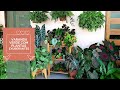 PLANTAS EXUBERANTES DE ENCHER OS OLHOS | Um espaço verde na varanda com muitas folhagens