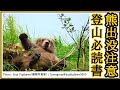 【熊出没注意】登山のクマ問題について。必読書の紹介と勉強が必要な理由【安全に健康に下山するために】